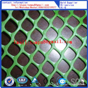 Plastic Flat Mesh Factory Direct Sale